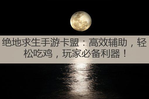 绝地求生手游卡盟:高效辅助,轻松吃鸡,玩家必备利器!