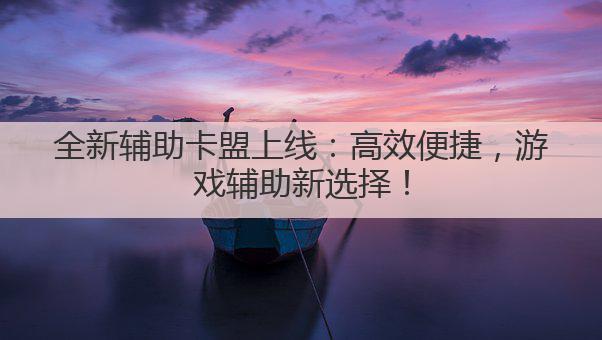 全新辅助卡盟上线:高效便捷,游戏辅助新选择!