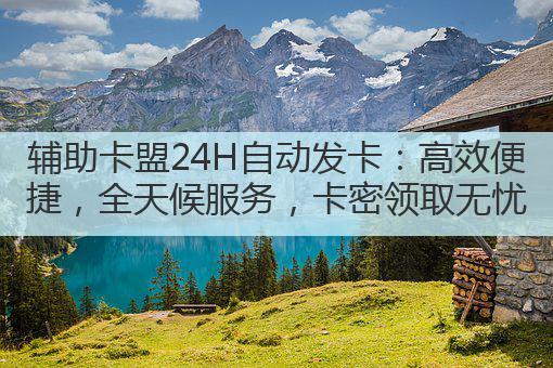 辅助卡盟24H自动发卡：高效便捷，全天候服务，卡密领取无忧