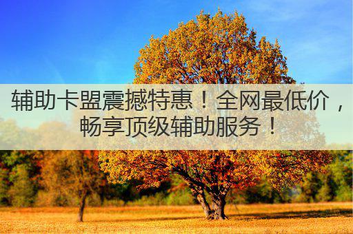 辅助卡盟震撼特惠!全网最低价,畅享顶级辅助服务!