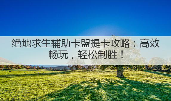 绝地求生辅助卡盟提卡攻略：高效畅玩，轻松制胜！