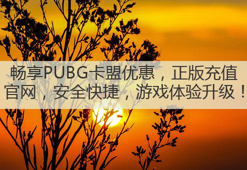 畅享PUBG卡盟优惠，正版充值官网，安全快捷，游戏体验升级！
