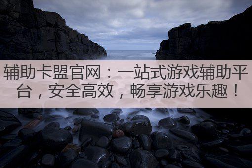辅助卡盟官网:一站式游戏辅助平台,安全高效,畅享游戏乐趣!