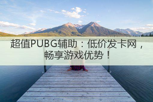 超值PUBG辅助：低价发卡网，畅享游戏优势！