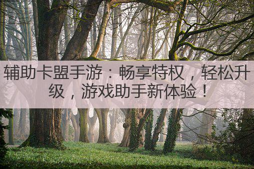 辅助卡盟手游：畅享特权，轻松升级，游戏助手新体验！