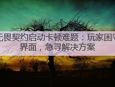 无畏契约启动卡顿难题：玩家困守界面，急寻解决方案
