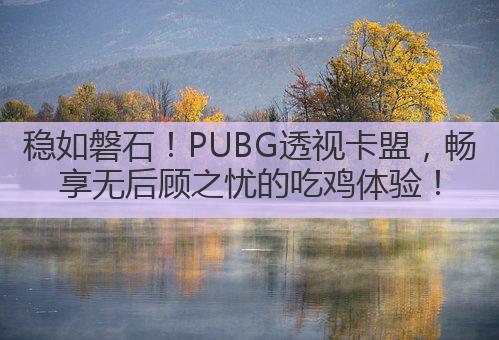 稳如磐石！PUBG透视卡盟，畅享无后顾之忧的吃鸡体验！