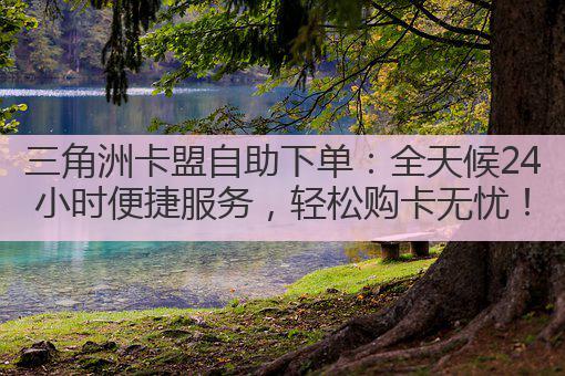 三角洲卡盟自助下单：全天候24小时便捷服务，轻松购卡无忧！
