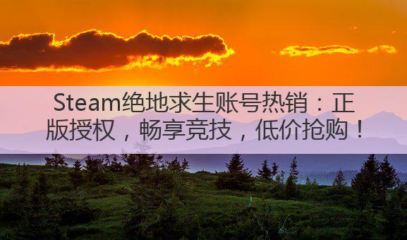 Steam绝地求生账号热销：正版授权，畅享竞技，低价抢购！