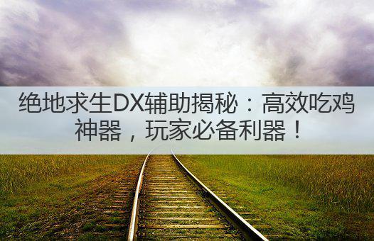 绝地求生DX辅助揭秘：高效吃鸡神器，玩家必备利器！