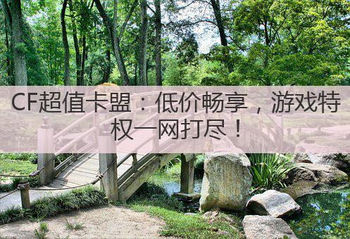 CF超值卡盟：低价畅享，游戏特权一网打尽！