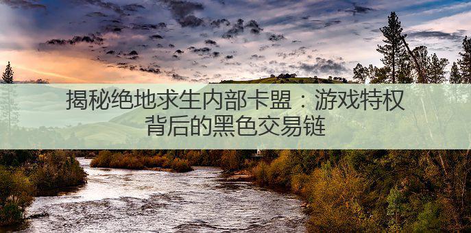 揭秘绝地求生内部卡盟：游戏特权背后的黑色交易链