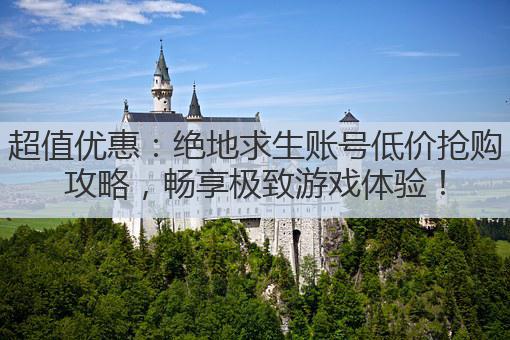超值优惠:绝地求生账号低价抢购攻略,畅享极致游戏体验!