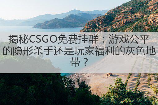 揭秘CSGO免费挂群:游戏公平的隐形杀手还是玩家福利的灰色地带?
