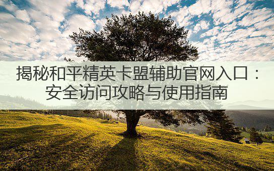 揭秘和平精英卡盟辅助官网入口：安全访问攻略与使用指南