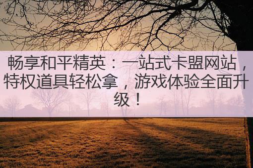 畅享和平精英:一站式卡盟网站,特权道具轻松拿,游戏体验全面升级!