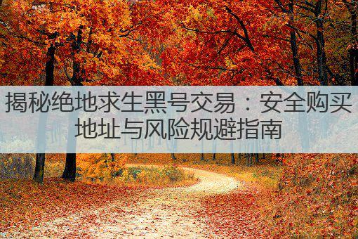 揭秘绝地求生黑号交易:安全购买地址与风险规避指南
