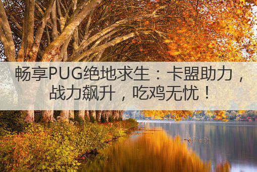 畅享PUG绝地求生:卡盟助力,战力飙升,吃鸡无忧!