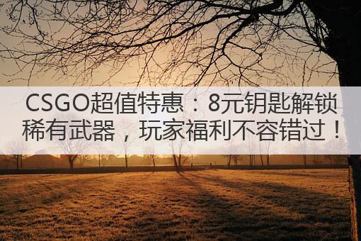 CSGO超值特惠:8元钥匙解锁稀有武器,玩家福利不容错过!