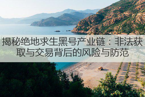 揭秘绝地求生黑号产业链：非法获取与交易背后的风险与防范