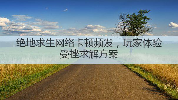 绝地求生网络卡顿频发，玩家体验受挫求解方案