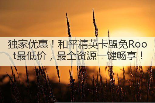 独家优惠!和平精英卡盟免Root最低价,最全资源一键畅享!
