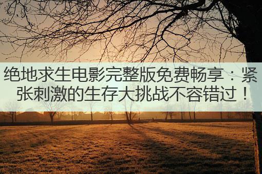 绝地求生电影完整版免费畅享：紧张刺激的生存大挑战不容错过！