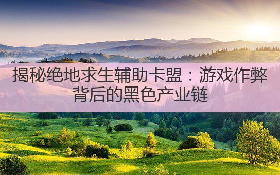 揭秘绝地求生辅助卡盟：游戏平衡的隐形威胁与玩家权益的博弈