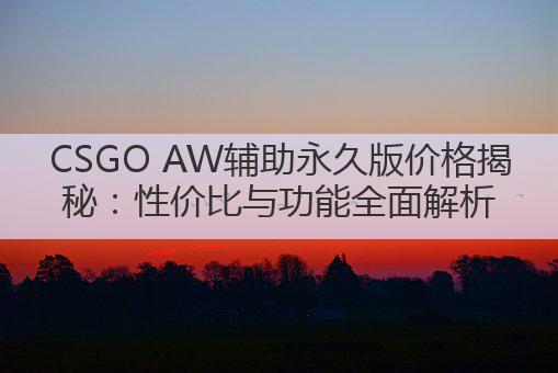 CSGO AW辅助永久版价格揭秘：性价比与功能全面解析