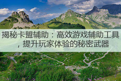 揭秘卡盟辅助：高效游戏辅助工具，提升玩家体验的秘密武器