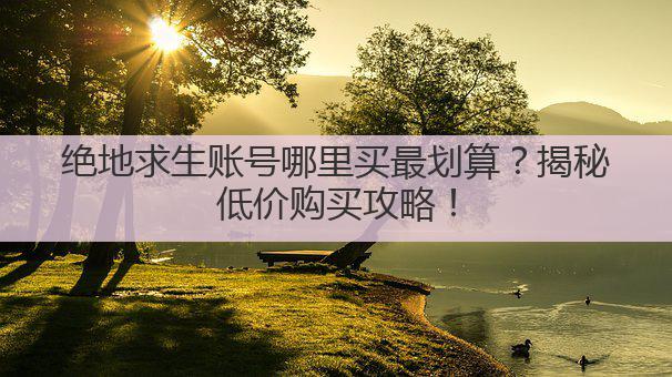 绝地求生账号哪里买最划算？揭秘低价购买攻略！