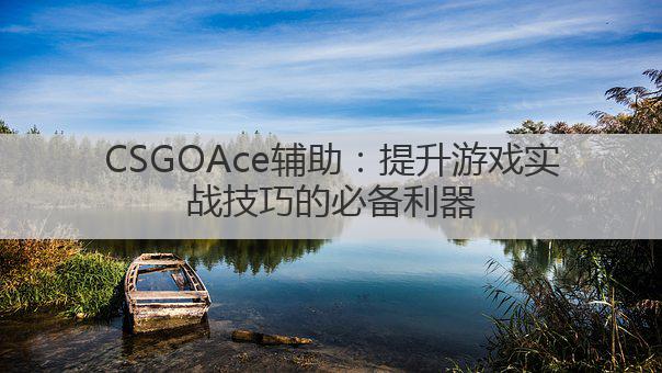 CSGOAce辅助：提升游戏实战技巧的必备利器
