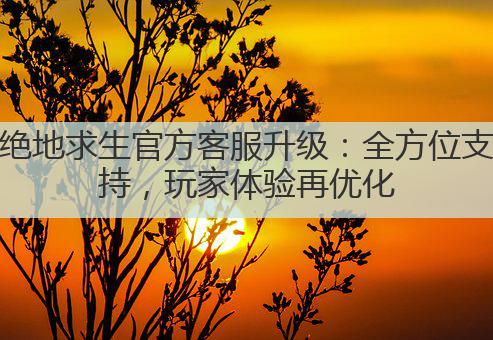 绝地求生官方客服升级:全方位支持,玩家体验再优化
