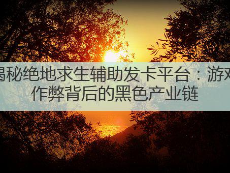 揭秘绝地求生辅助发卡平台:游戏作弊背后的黑色产业链