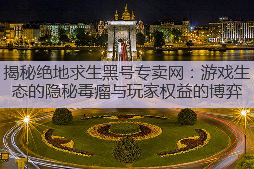 揭秘绝地求生黑号专卖网:游戏生态的隐秘毒瘤与玩家权益的博弈