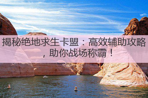 揭秘绝地求生卡盟：高效辅助攻略，助你战场称霸！