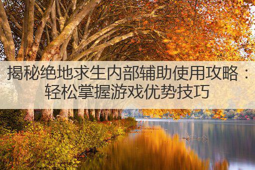 揭秘绝地求生内部辅助使用攻略:轻松掌握游戏优势技巧