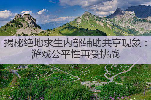 揭秘绝地求生内部辅助共享现象:游戏公平性再受挑战