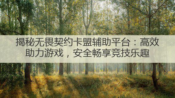 揭秘无畏契约卡盟辅助平台:高效助力游戏,安全畅享竞技乐趣