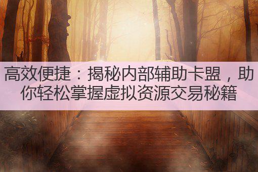 高效便捷:揭秘内部辅助卡盟,助你轻松掌握虚拟资源交易秘籍