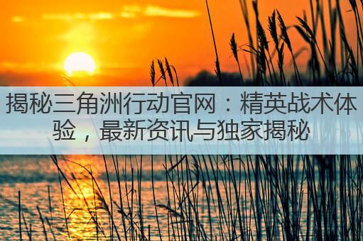 揭秘三角洲行动官网:精英战术体验,最新资讯与独家揭秘