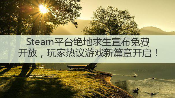 Steam平台绝地求生宣布免费开放,玩家热议游戏新篇章开启!