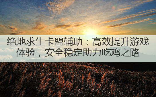 绝地求生卡盟辅助：高效提升游戏体验，安全稳定助力吃鸡之路