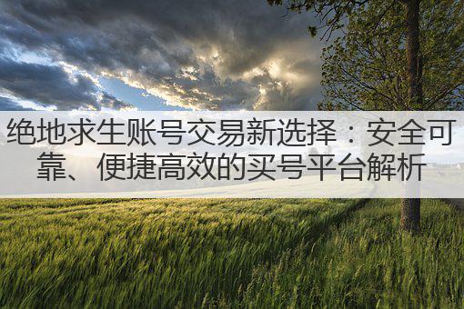 绝地求生账号交易新选择：安全可靠、便捷高效的买号平台解析