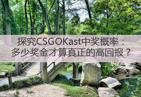 探究CSGOKast中奖概率:多少奖金才算真正的高回报?