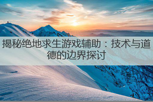 揭秘绝地求生游戏辅助:技术与道德的边界探讨