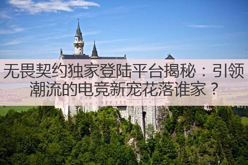 无畏契约独家登陆平台揭秘:引领潮流的电竞新宠花落谁家?