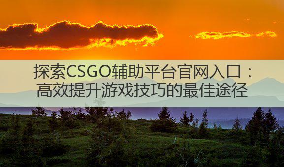 探索CSGO辅助平台官网入口:高效提升游戏技巧的最佳途径