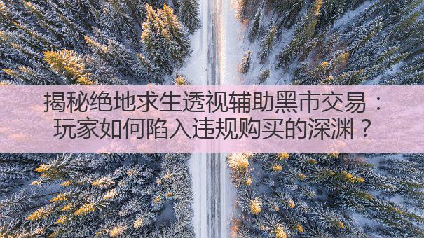 揭秘绝地求生透视辅助黑市交易：玩家如何陷入违规购买的深渊？