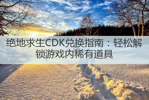 绝地求生CDK兑换指南:轻松解锁游戏内稀有道具